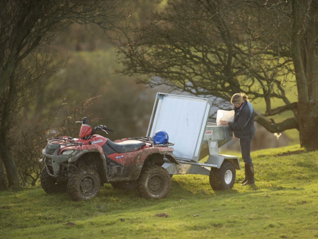 Фото квадроцикла Suzuki LT-A500XP KingQuad